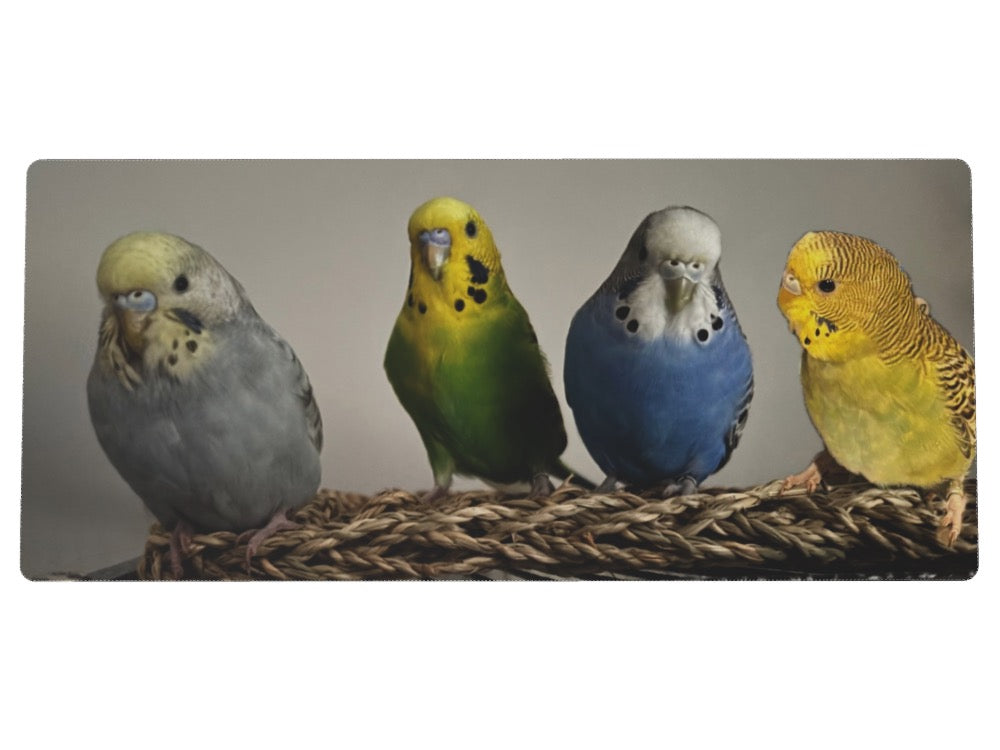Custom XXL Speedmat - Custom Design Ref: AFXQ6VP