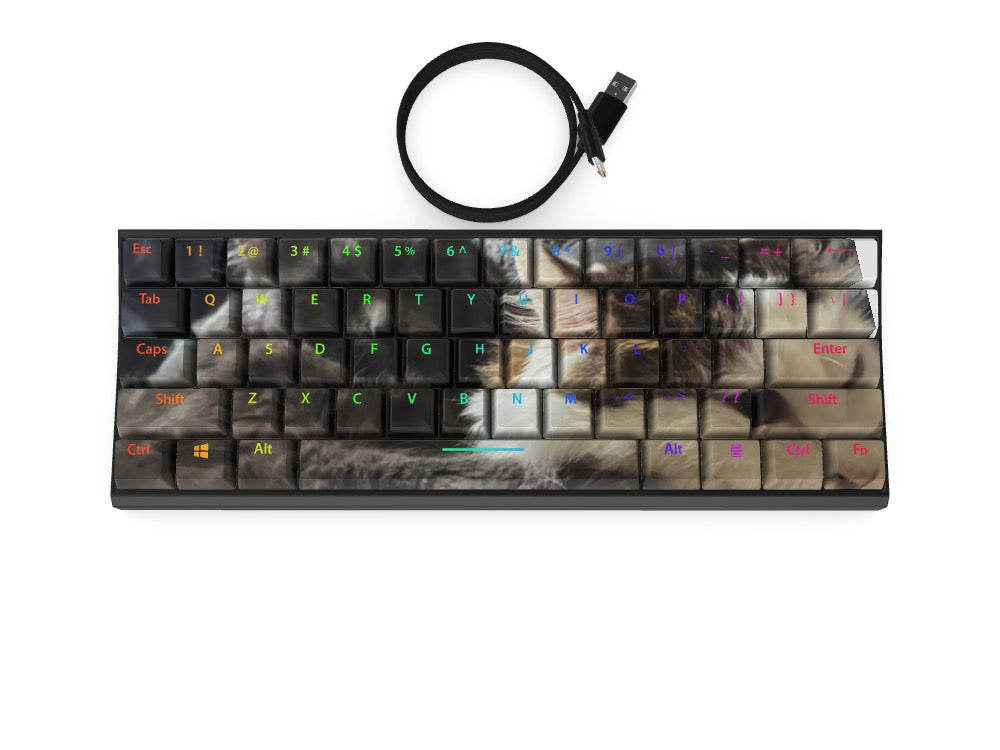 T60 Keyboard - Custom Design Ref: FMA391D - [alt_customs]