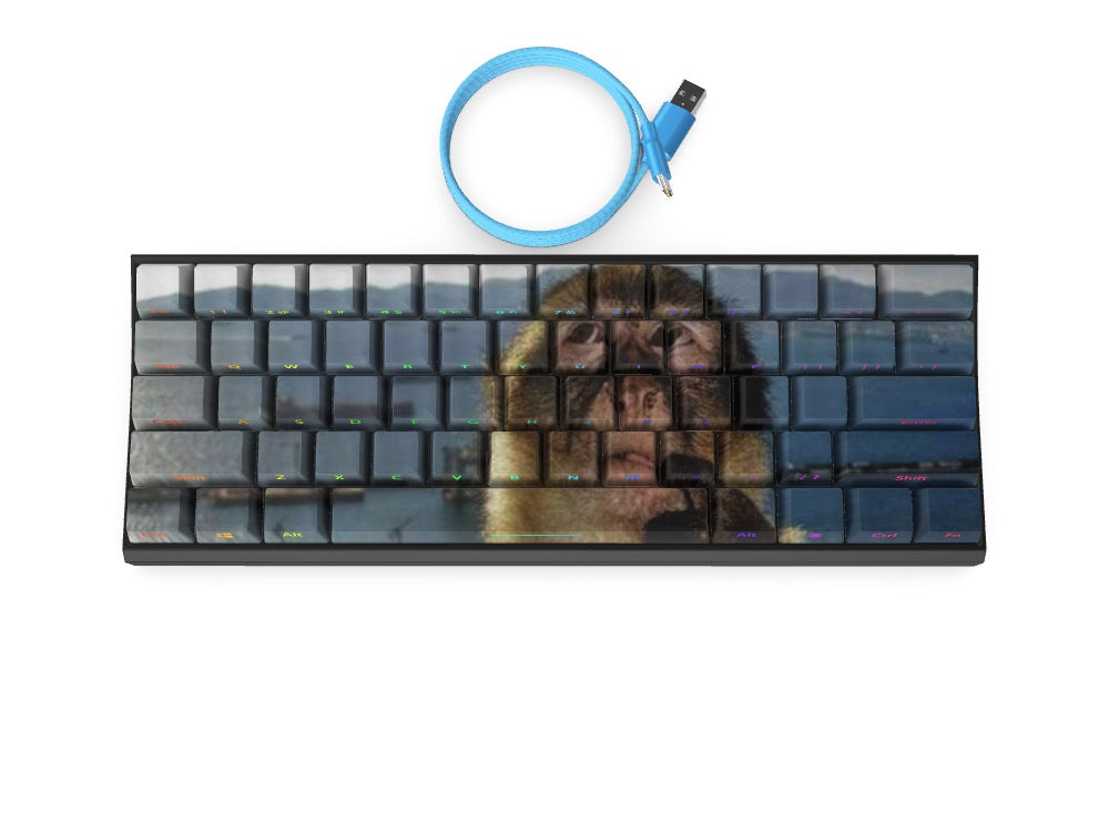 T60 Keyboard - Custom Design Ref: K8NVJW