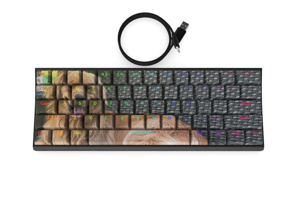 T60 Keyboard - Custom Design Ref: QILBOQJ - [alt_customs]