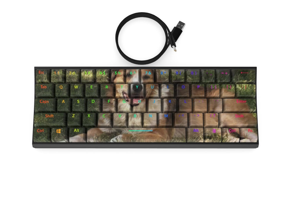 T60 Keyboard - Custom Design Ref: RFVDKRS - [alt_customs]