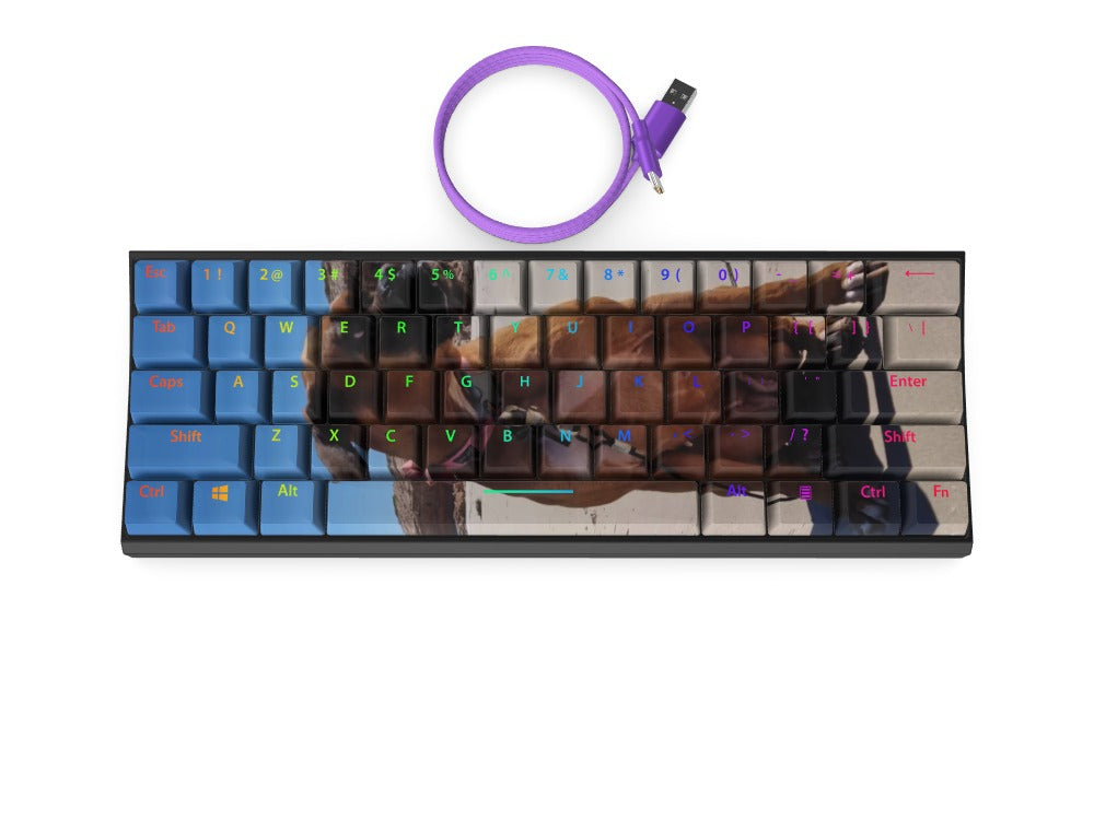 T60 Keyboard - Custom Design Ref: RKRIPET - [alt_customs]