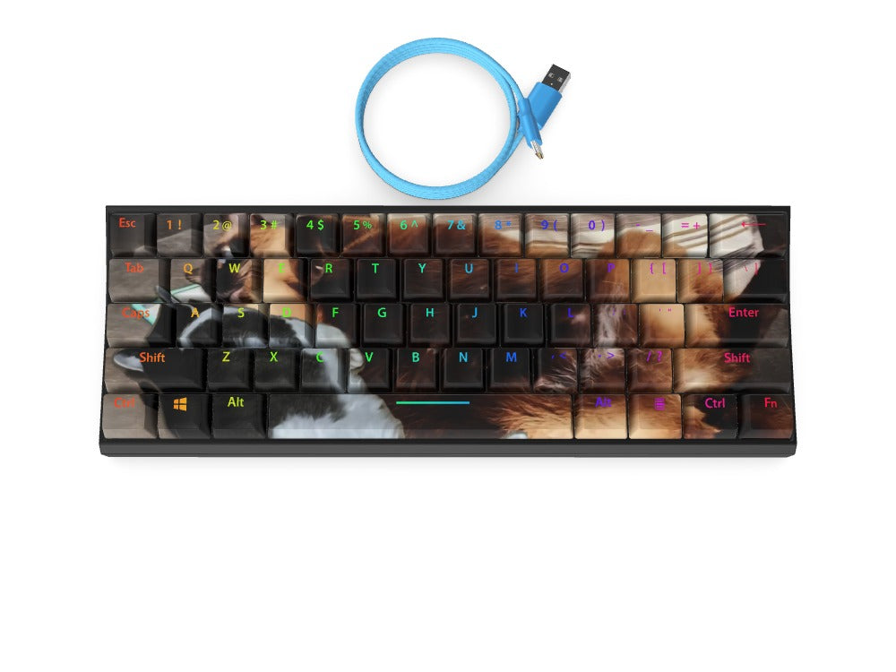 T60 Keyboard - Custom Design Ref: SPR2NVM - [alt_customs]