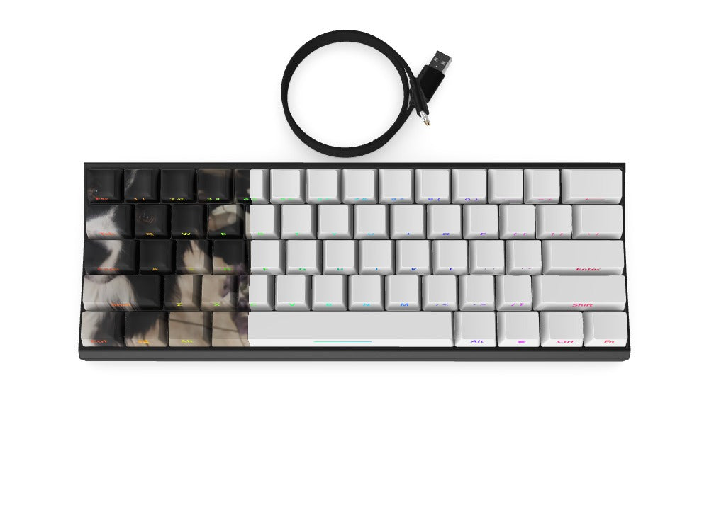 T60 Keyboard - Custom Design Ref: WZKJVW