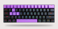 ivy - [alt_customs]
